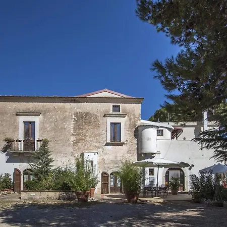 MASSERIA CITULO Il Pino grande-2